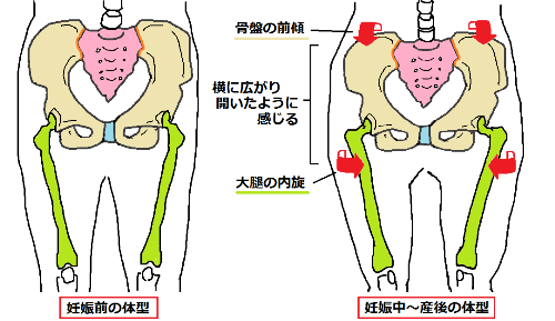 産前産後の体型1.png